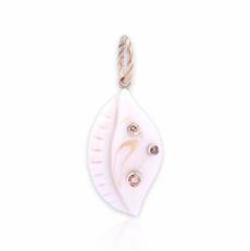 COWRIE IVORY